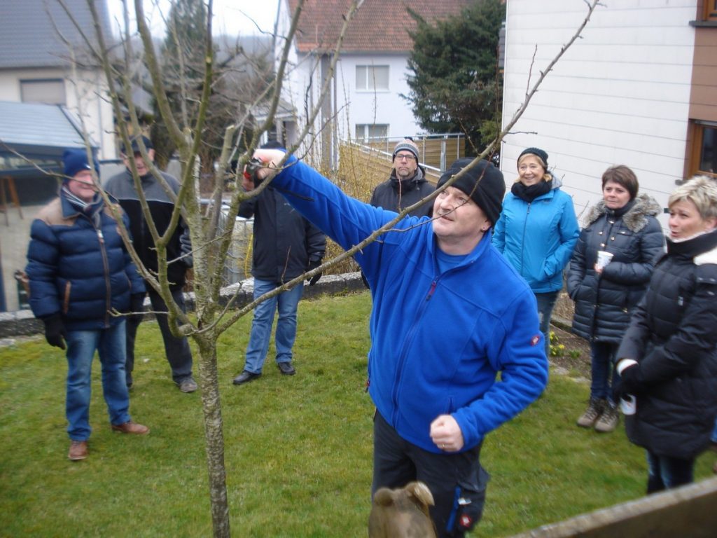 Schnittkurs des OGV-Neuweiler